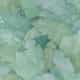 Multiforme | Décor Foliage